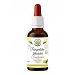 Salvia Paradise Pampeliška lékařská AF tinktura 50 ml – Hledejceny.cz