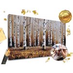 Malování podle čísel PREMIUM GOLD Březový háj – Hledejceny.cz