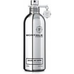 Montale Soleil de Capri parfémovaná voda unisex 100 ml – Hledejceny.cz