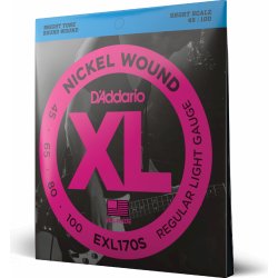 D'Addario EXL 170 S