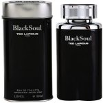 Ted Lapidus Black Soul toaletní voda pánská 100 ml – Hledejceny.cz