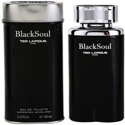 Ted Lapidus Black Soul toaletní voda pánská 100 ml