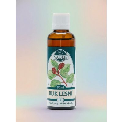 Naděje Buk lesní tinktura z pupenů 50 ml – Hledejceny.cz