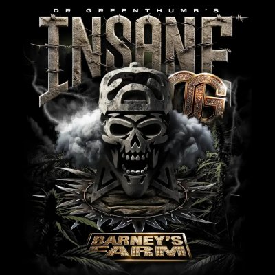 Barney´s Farm Insane OG semena neobsahují THC 1 ks – Zbozi.Blesk.cz