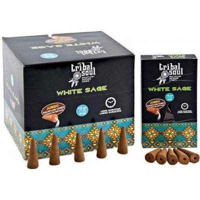 Ancient wisdom White Sage Bílá šalvěj vonné kužely tekoucí kouř 18 g – Hledejceny.cz