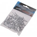 Nýty trhací ¤4x10mm 50ks FESTA – Sleviste.cz