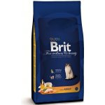 Brit cat adult Premium kuře 0,3 kg – Hledejceny.cz