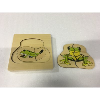 Montessori Životní cyklus žáby – Sleviste.cz