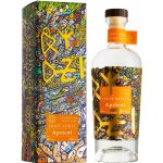 Raspenava Meruňkovice 48% 0,5 l (holá láhev) – Zboží Dáma