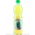 Stevikom Kombucha Meduňka 0,5 l – Hledejceny.cz