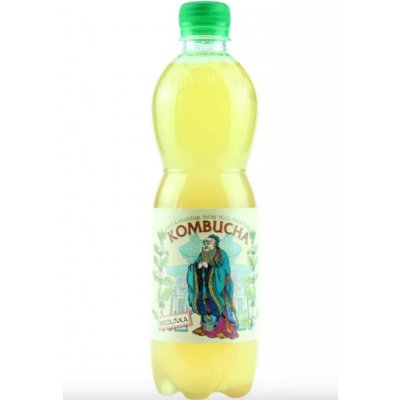 Stevikom Kombucha Meduňka 0,5 l – Hledejceny.cz