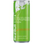 Red Bull The Summer Edition Curuba-Elderflower 0,25 l – Sleviste.cz