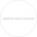 2025 10.000 Kč Začátek vlády knížete Václava 1100. výročí Proof – Zboží Dáma