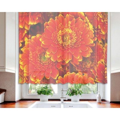 Fotozáclona Gerbera VO-140-007 textilní foto záclona / záclony s fototiskem 140 x 120 cm Dimex – Zboží Mobilmania