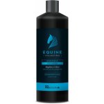 Heiniger ProGroom Šampon Equine Collection Enhance 1 l – Sleviste.cz