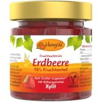 Birkengold Jahodový džem s xylitolem 200 g – Sleviste.cz