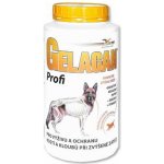 Orling Gelacan Plus Profi 1 kg – Hledejceny.cz