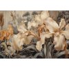 Tapety Postershop Fototapety vliesové: Art Nature Beige flowers - 254x184 cm