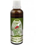 Naděje Jeřáb ptačí 50 ml tinktura z bylin – Hledejceny.cz