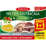 Terezia Company Hlíva ústřičná s lactobacily 120 tablet – Hledejceny.cz