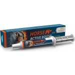 Horse Active Boost perorální pasta 20 g – Hledejceny.cz