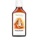 MycoMedica kulatý budha tinktura 50 ml – Hledejceny.cz