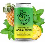 Yeahrba Yerba Maté Minty Ananas přírodní energetický nápoj 330 ml – Zboží Dáma