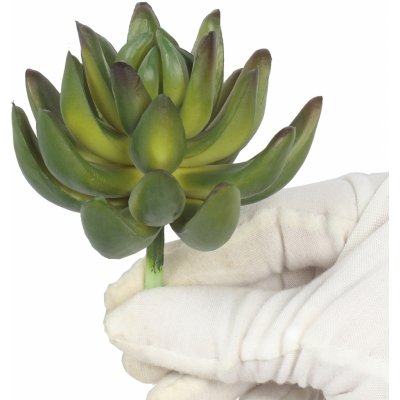 Umělý sukulent Echeveria zelená 10 cm – Zboží Mobilmania