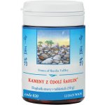TCM Herbs Kameny z údolí Šaolin 100 tablet – Hledejceny.cz