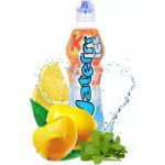 Kubík Waterrr Summer Fruits Mango Sorbet, Citron 0,5 l – Hledejceny.cz