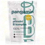 Pangamin přírodní B komplex tablet 120 – Hledejceny.cz