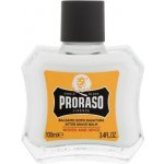 Proraso Wood and Spice balzám po holení 100 ml – Zbozi.Blesk.cz