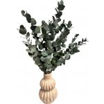 Stabilizovaný eukalyptus ESPIRAL, kytice/svazek šedozelených větviček 140g – Zboží Dáma