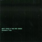 Cave Nick & Bad Seeds - Skeleton Tree LP – Hledejceny.cz