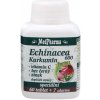 Vitamín a minerál MedPharma Echinacea 600 Forte kurkumin vit. C bez černý zinek 67 tablet