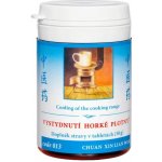 TCM Herbs Pevnost palácového pilíře 100 tablet – Sleviste.cz