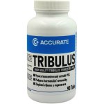 Accurate+ Acuratte+ Tribulus 90% 90 tablet – Hledejceny.cz