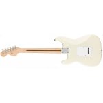 Fender Squier Affinity Stratocaster – Hledejceny.cz