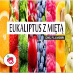 Flavorika Potravinářská příchuť Eukalyptus s mátou 10 ml – Sleviste.cz
