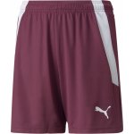 Puma teamLIGA Shorts Jr – Zbozi.Blesk.cz