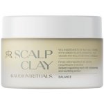 Roverhair GAUDIUM Scalp Clay Jíl pro detoxikaci a uklidnění pokožky 500 ml – Hledejceny.cz