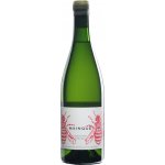 Bodega Chacra Mainque Chardonnay 2023 Bílé 12,5% 0,75 l (holá láhev) – Hledejceny.cz