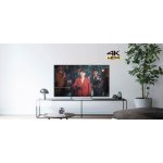 Panasonic TX-65FX623E – Hledejceny.cz