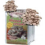 Nohel Garden Hlíva ústřičná HLÍVOVÁ ZAHRÁDKA 15 l – Zboží Dáma