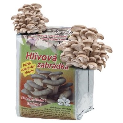 Nohel Garden Hlíva ústřičná HLÍVOVÁ ZAHRÁDKA 15 l – Zboží Dáma