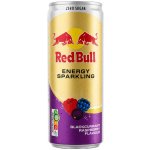Red Bull Blackcurrant Raspberry 250 ml – Zbozi.Blesk.cz