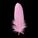 Nefertitis Husí pírko pro vykuřování růžové 16 cm NF46795 – Zboží Dáma