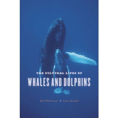 Cultural Lives of Whales and Dolphins – Hledejceny.cz