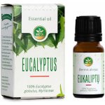 Meta esenciální olej Eukalyptus 10 ml – Hledejceny.cz