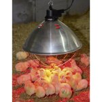 KERBL Infralampa 250W s hliníkovým stínítkem 35 cm 5m – Zboží Dáma